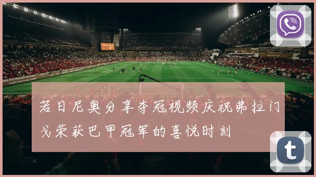 若日尼奥分享夺冠视频庆祝弗拉门戈荣获巴甲冠军的喜悦时刻